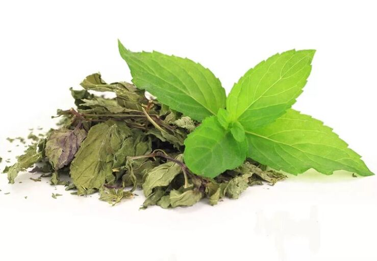Green tea in ABSLIM